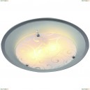 A4806PL-1CC Потолочный светильник Arte Lamp, Ariel