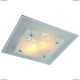 A4807PL-2CC Светильник настенно-потолочный Arte Lamp (Арте Ламп) 108