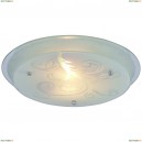 A4865PL-2CC Светильник настенно-потолочный Arte Lamp (Арте Ламп) 110