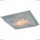A4866PL-2CC Светильник настенно-потолочный Arte Lamp (Арте Ламп) 110
