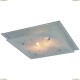 A4866PL-2CC Светильник настенно-потолочный Arte Lamp (Арте Ламп) 110