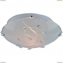 A4040PL-2CC Светильник настенно-потолочный Arte Lamp (Арте Ламп) 111
