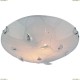 A4045PL-1CC Светильник настенно-потолочный Arte Lamp (Арте Ламп) 112