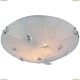 A4045PL-2CC Светильник настенно-потолочный Arte Lamp (Арте Ламп) 112