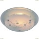 A4890PL-2CC Светильник настенно-потолочный Arte Lamp (Арте Ламп) 113