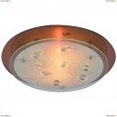 A4043PL-2CC Светильник настенно-потолочный Arte Lamp (Арте Ламп) 115