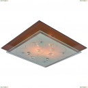 A4042PL-2CC Светильник настенно-потолочный Arte Lamp (Арте Ламп) 115