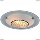 A4833PL-2CC Светильник настенно-потолочный Arte Lamp, Giselle