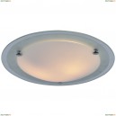 A4831PL-2CC Светильник настенно-потолочный Arte Lamp (Арте Ламп) 117
