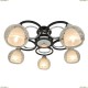 A1604PL-5BK Потолочная люстра Arte Lamp (Арте Ламп), Ginevra
