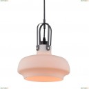 A3624SP-1WH Подвесной светильник Arte Lamp, Arno