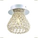A9466PL-1CC Потолочный светильник Arte Lamp (Арте Ламп), Adamello