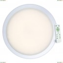 A6040PL-1WH Потолочный светодиодный светильник с пультом ДУ Arte Lamp (Арте Ламп), Lunio