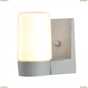 A8058AL-1GY Уличный настенный светильник Arte Lamp (Арте Ламп), Spasso