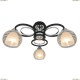 A1604PL-3BK Потолочная люстра Arte Lamp (Арте Ламп), Ginevra