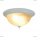 A1305PL-2WH Потолочный светильник Arte Lamp, Porch