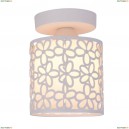 A8349PL-1WH Потолочный светильник Arte Lamp, Traforato