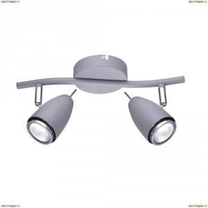 A1966AP-2GY Спот Arte Lamp (Арте Ламп), Regista