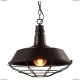 A9183SP-1BK Подвесной светильник Arte Lamp (Арте Ламп), Ferrico Black