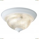 A9370PL-2WH Потолочный светильник Arte Lamp (Арте Ламп), Aqua