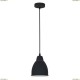 A2054SP-1BK Подвесной светильник Arte Lamp (Арте Ламп), Braccio Black