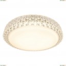 A1569PL-1CL Потолочный светодиодный светильник Arte Lamp, Celeste