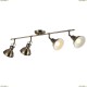 A1102PL-4AB Светильник потолочный Arte Lamp (Арте Ламп)