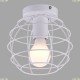 A1110PL-1WH Светильник потолочный Arte Lamp (Арте Ламп)