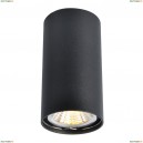 A1516PL-1BK Потолочный светильник Arte Lamp, Unix