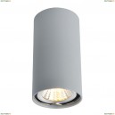 A1516PL-1GY Светильник потолочный Arte Lamp (Арте Ламп)