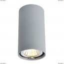 A1516PL-1GY Потолочный светильник Arte Lamp, Unix