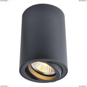 A1560PL-1BK Светильник потолочный Arte Lamp (Арте Ламп)