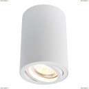 A1560PL-1WH Потолочный светильник Arte Lamp, Sentry