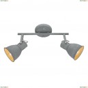 A1677PL-2GY Светильник потолочный Arte Lamp (Арте Ламп)