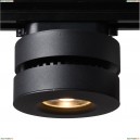 A2508PL-1BK Светильник потолочный светодиодный Arte Lamp (Арте Ламп)