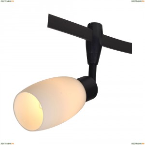 A3059PL-1BK Светильник потолочный Arte Lamp (Арте Ламп)