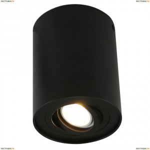 A5644PL-1BK Светильник потолочный Arte Lamp (Арте Ламп)