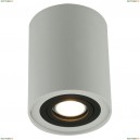 A5644PL-1WH Потолочный светильник Arte Lamp, Falcon