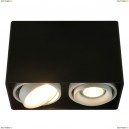 A5655PL-2BK Светильник потолочный Arte Lamp (Арте Ламп)