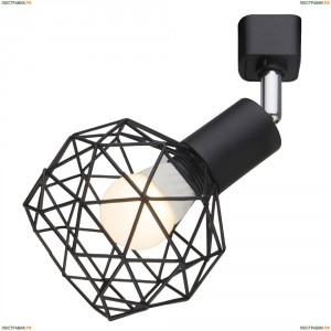 A6141PL-1BK Светильник потолочный Arte Lamp (Арте Ламп)