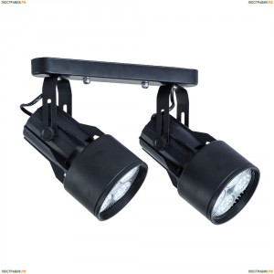 A6252PL-2BK Светильник потолочный Arte Lamp (Арте Ламп)