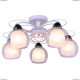 A7585PL-5WH Светильник потолочный Arte Lamp (Арте Ламп)