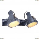 A9178AP-2GY Спот Arte Lamp, Faro