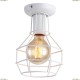 A9182PL-1WH Светильник потолочный Arte Lamp (Арте Ламп)