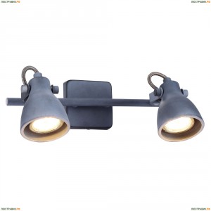 A9189AP-2GY Светильник настенный Arte Lamp (Арте Ламп)