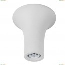 A9461PL-1WH Потолочный светильник Arte Lamp, Tubo