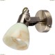 A9582AP-1AB Светильник настенный Arte Lamp (Арте Ламп)
