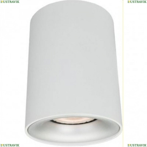 A1532PL-1WH Потолочный светильник Arte Lamp (Арте ламп), Torre