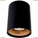 A1532PL-1BK Потолочный светильник Arte Lamp, Torre