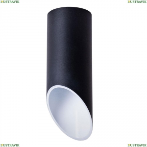 A1615PL-1BK Потолочный светильник Arte Lamp (Арте ламп), Pilon